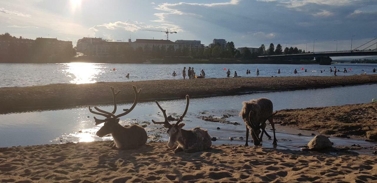 Kismet Apartment Rovaniemi Bagian luar foto